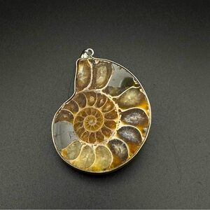 Ammonite Fossil Pendant